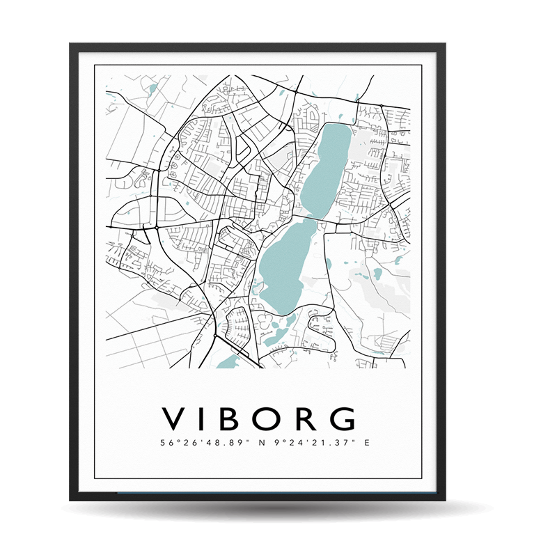 Viborg - City Map Color