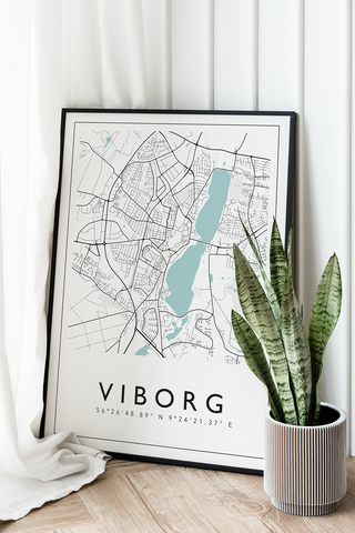 Viborg - City Map Color