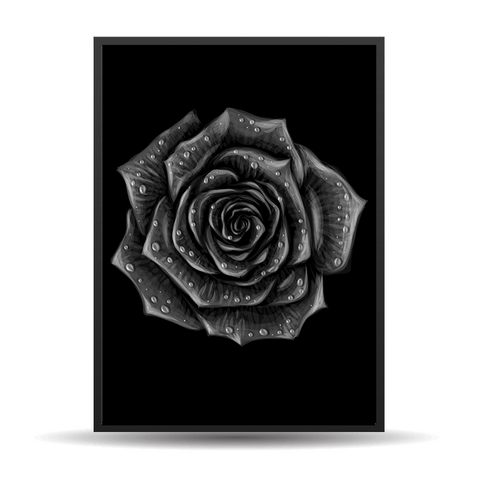 Black Rose